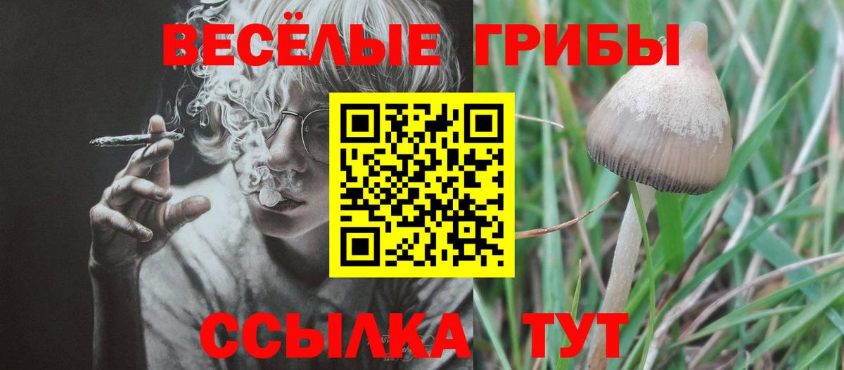 Галлюциногенные грибы MAGIC MUSHROOMS Аргун